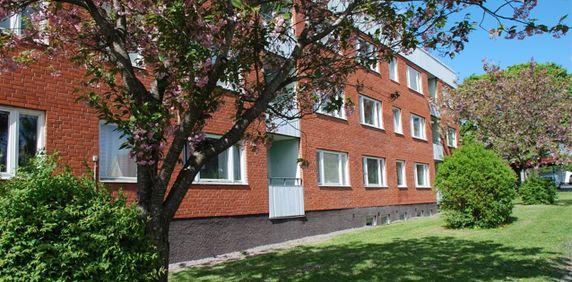 Föreningsgatan 21A - Foto 2