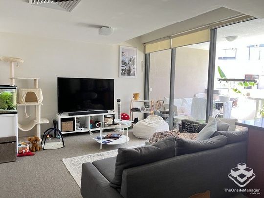 Modern and Spacious 1 bed +Study Apartment in the best street - Photo 1