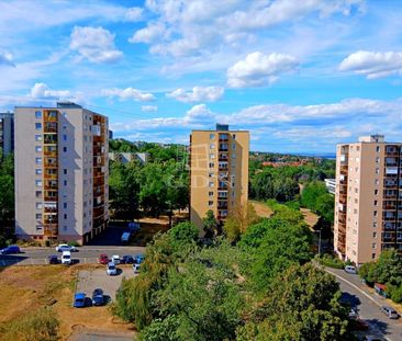 Kiadó átlagos állapotú panel lakás - Miskolc - Fotó 1