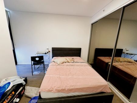 12 Pual Street Zetland, Sydney - Photo 4