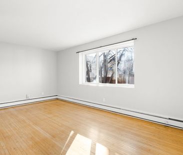 192 Anderson – 1 Bedroom, Winnipeg, MB - Photo 4