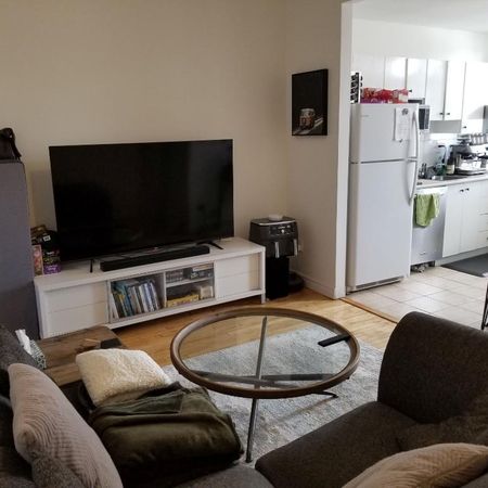 Beau logement 4½ rénové récemment, dans Rosemont-La-Petite-Patrie, près de la piste cyclable et du Plateau Mont-Royal - Photo 3