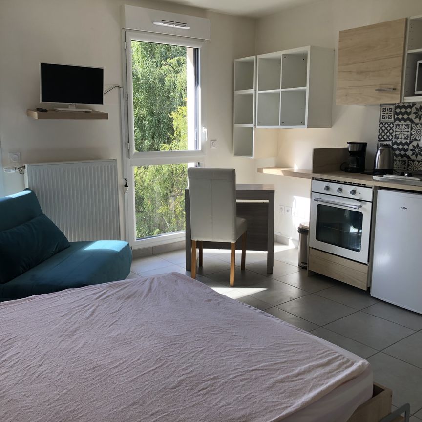 Location Appartement 1 pièce 24m² FONTAINEBLEAU 77300 - Photo 1