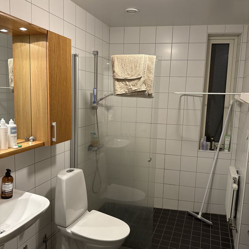 Ostindiefararen, Göteborg - Foto 1