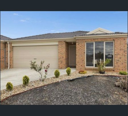 2 Waltzing Drive, Lynbrook, Vic 3975 - Photo 2
