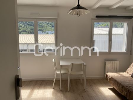 Location Appartement 1 pièce 16,17 m² - Photo 2