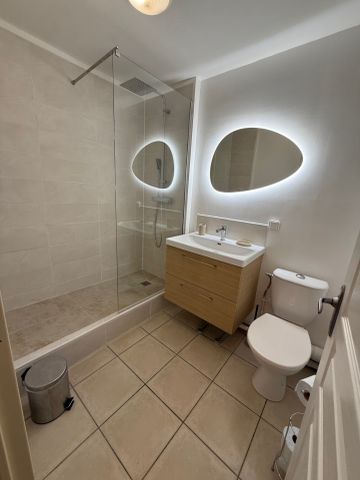 Location Appartement 1 pièce ST DENIS 97400 - Photo 3