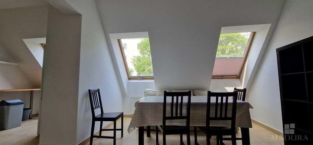 MIESZKANIE na WYNAJEM - Photo 1