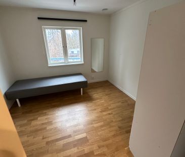 Polarvägen, Vega - Photo 1