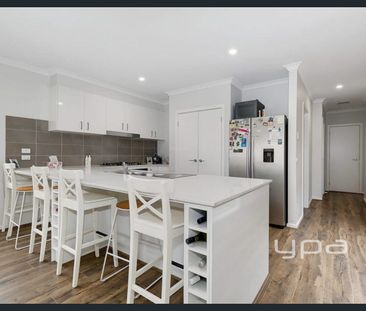 Easy Living! - Photo 5