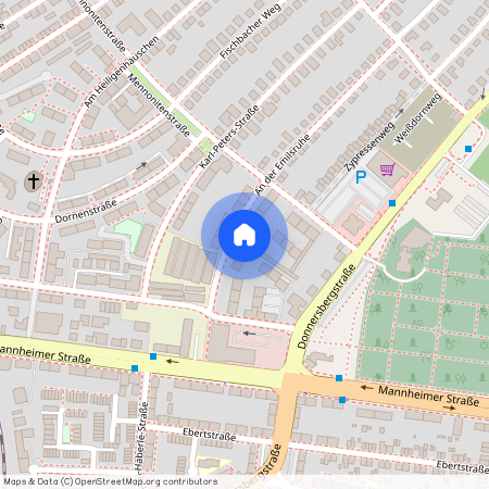 An der Emilsruhe 20, 67657 Kaiserslautern