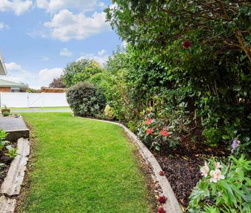 2 Bedroom - Central Kerikeri - Photo 4