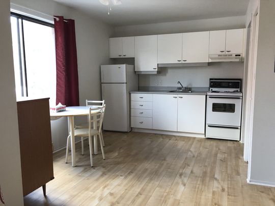 Le 443 Sainte-Anne, St-Hyacinthe - Photo 1