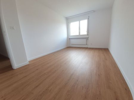 Frisch sanierte grosszügige Wohnung im Herzen von Neuhausen - Photo 5