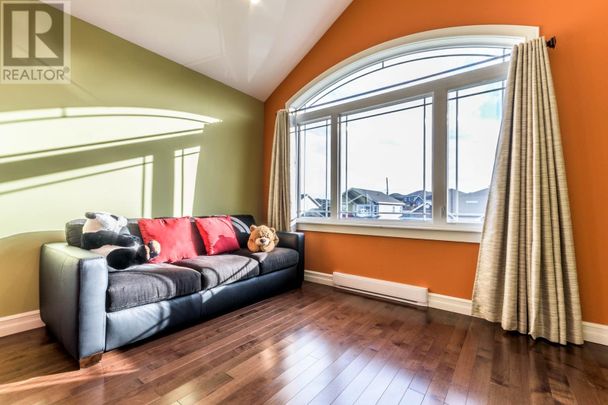 4 Pluto Street, St. John's, Newfoundland & Labrador - Photo 1