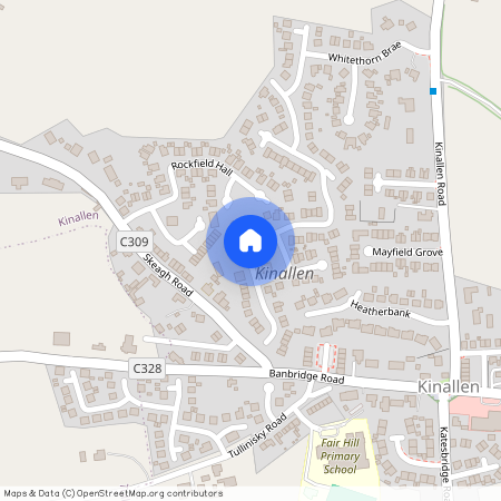 35 Whitethorn Lane, Kinallen, Dromore, BT25 2DL