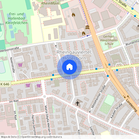 Dotzheimer Str. 111, 65197, Wiesbaden Ot Westend