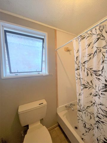 56C Maitland Street, City Centre, Dunedin - Photo 4