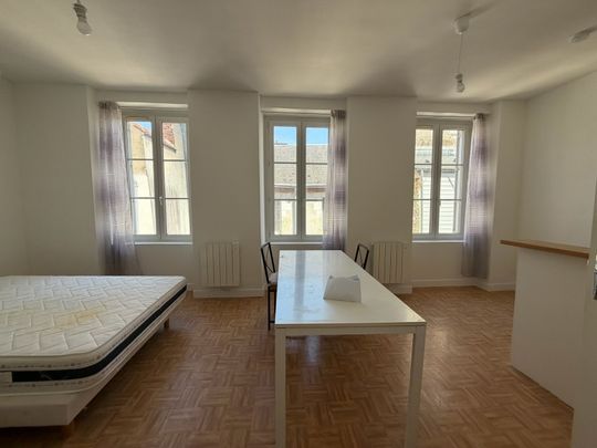 Location Appartement 1 pièce 27m² ORLEANS 45000 - Photo 1