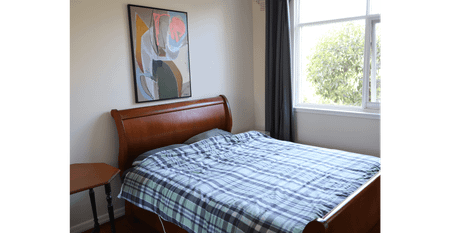 Leafy Lifestyle Living - Photo 4