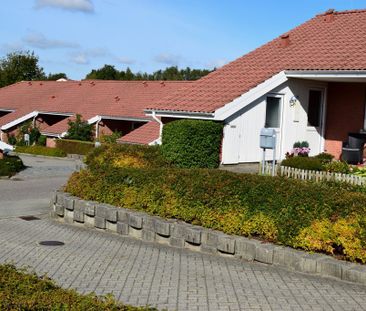 7800, Skive - Foto 2