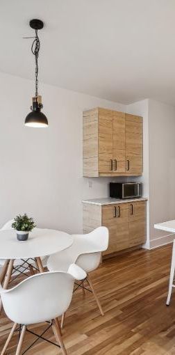 3 1/2 - Montréal - 1 835 $/mois - Photo 1