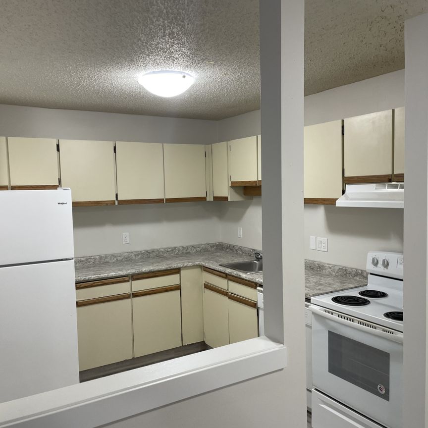 2 Bedroom Apartments – Lake Pointe Condos - Photo 1