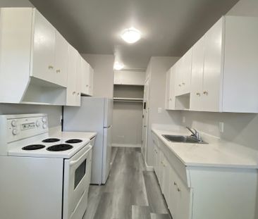 Princeton Manor - Photo 4