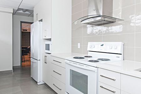 Appartement à louer, Montréal (Ville-Marie) - Photo 5