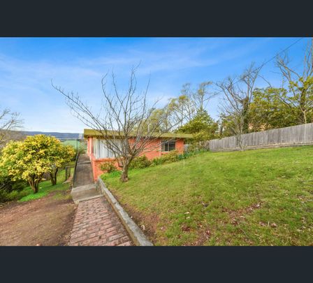 44 Guy Street, Kings Meadows, Tas 7249 - Photo 1