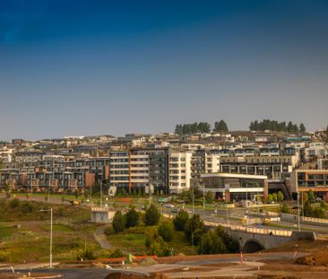 20/5 Skuta Place, Denman Prospect ACT 2611 - Apartment For Rent | D... - Photo 3