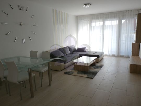 Debrecen, Péterfia utca, flat for rent - Fotó 1