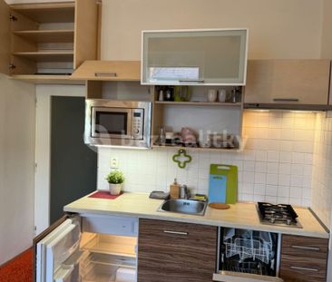Pronájem bytu 1+kk • 30 m² bez realitkyV Domově, Praha - Žižkov - Photo 4