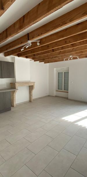 Location Appartement 2 pièces 52m² BELLEVILLE 69220 - Photo 1