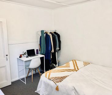 Surry Hills - Photo 6