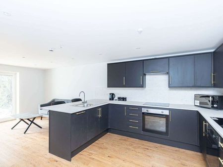 Boutique Hotel Style Studio Flats & En-Suite Rooms Room 7 - Photo 4