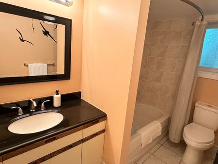 For Lease - 27 Valley Trail Unit# Basement, East Gwillimbury, Ontario - Photo 5