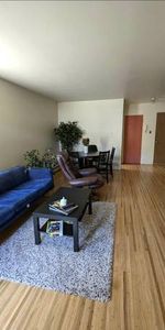 Spacious Large 2 Bedrooms with Patio - Photo 3