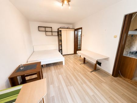 Apartament cu o cameră Bucovina - Photo 2