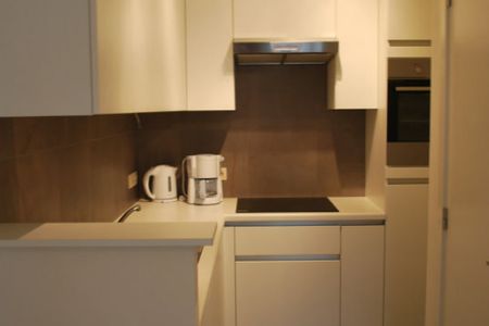 Quartier Saint-Antoine, Rez-de-Chaussée de standing 1 chambre + terrasse (meublé) - Photo 3