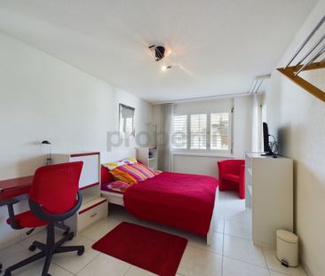 Excellent Furnished 2.5-room Apartment in Buchs, Zurich - Foto 2