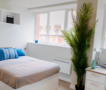 Large Premier with dishwasher - Photo 6