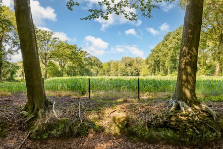 TE HUUR : Zeer recente luxe woning gelegen in een uniek en privatief woondomein met grote parktuin - Foto 3