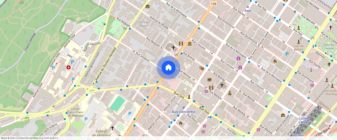 Ville-Marie, Ville-Marie, Ile de Montréal, H3G 1L3