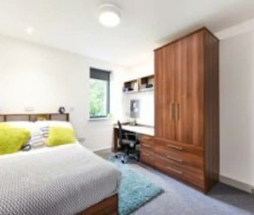 Studio Bronze Plus - Photo 6