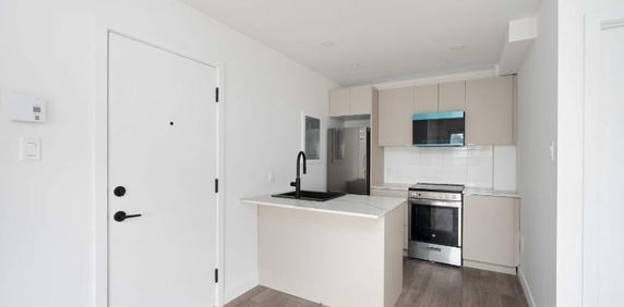 1 CH - 1 SDB - Montreal - $1,195 /mo - Photo 2