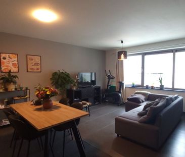 Appartement te huur in Deinze voor € 795 met 2 slaapkamers - Photo 4