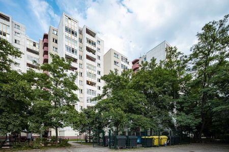 Heimwerker aufgepasst: 2,5-Zimmerwohnung mit viel Potenzial zu vermieten! Ab sofort! - Photo 2