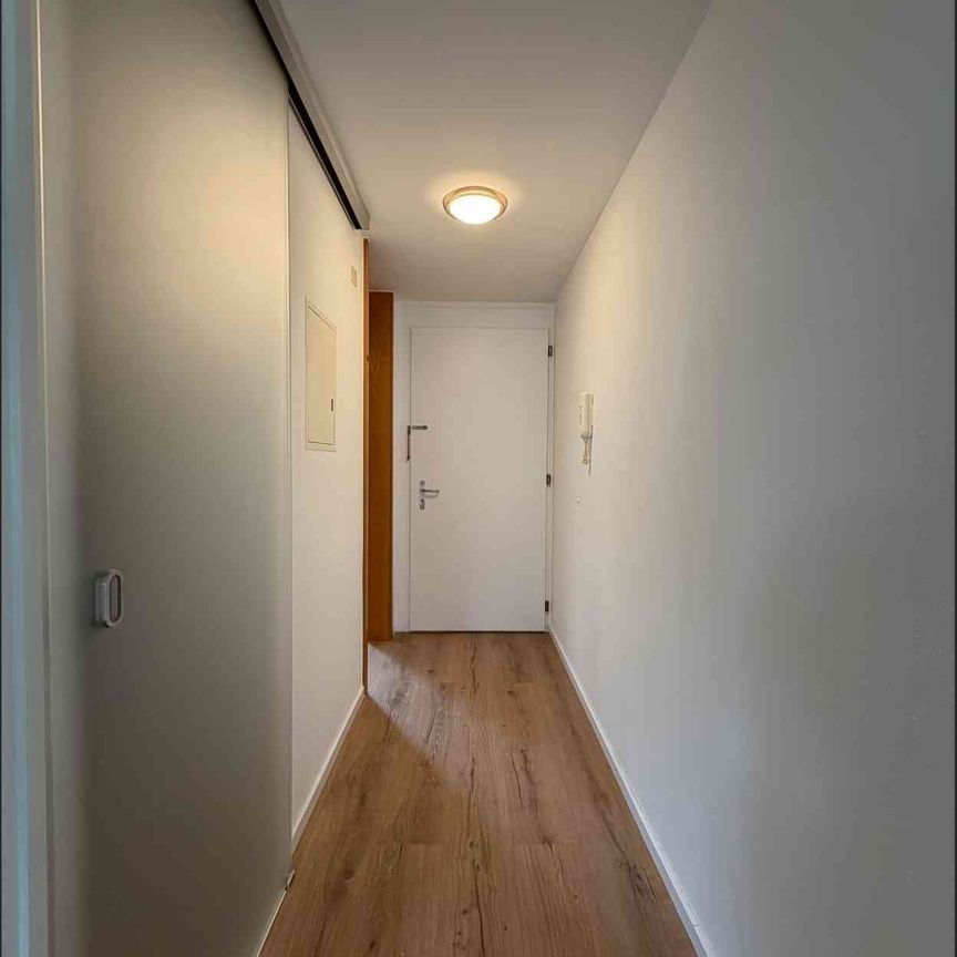 2.5 Zimmer, 48 m², 2. Stock - Foto 1