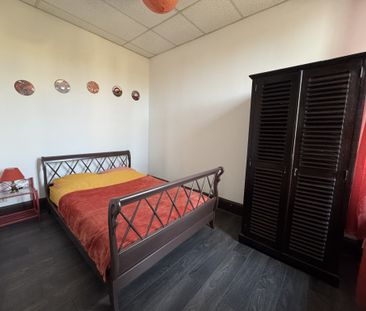 Appartement T2 meublé - Ternay - 45m² Ternay (69360) Le bien en vidéo - Photo 4